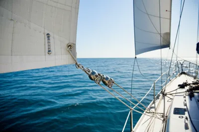 Illustration hank - Image 1