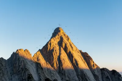 Illustration tops - Image 1