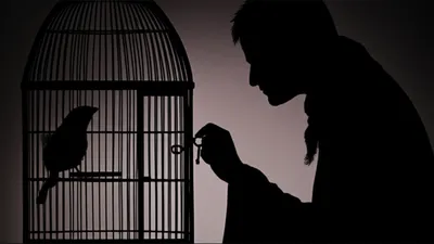 Illustration enables - Image 1