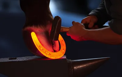 Illustration ironed - Image 1