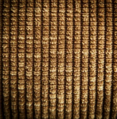 Illustration wale - Image 1