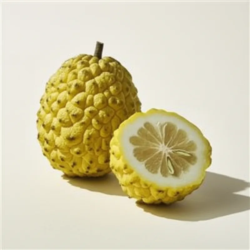 Illustration visuelle du mot « citron » - Jaune citron