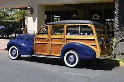 Illustration woody - Image 2