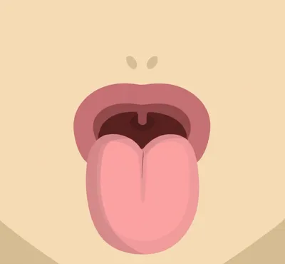 Illustration narrow - Image 1