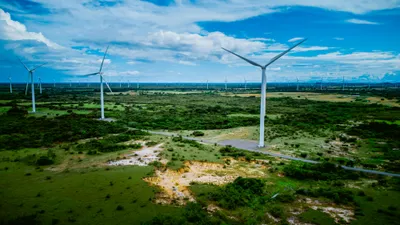 Illustration alternatives - Image 1