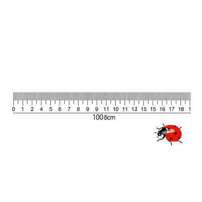 Illustration centimeters