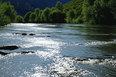 Illustration waters - Image 1