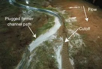 Illustration cutoff - Image 3