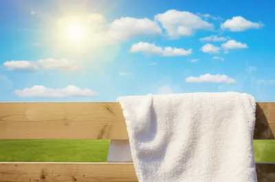 Illustration suns - Image 1