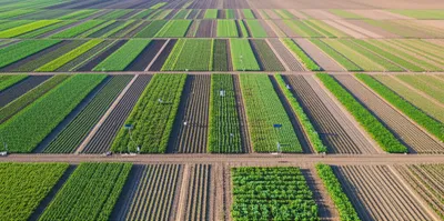 Illustration subplot - Image 1