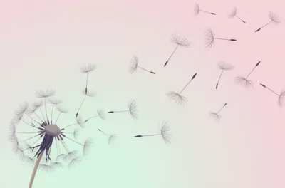 Illustration waves - Image 1