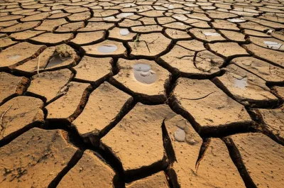 Illustration welling - Image 1