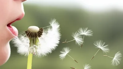 Illustration blows - Image 1