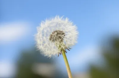 Illustration lightest - Image 1