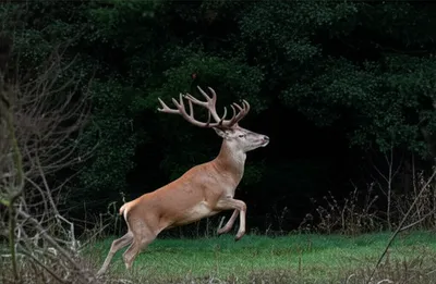 Illustration harbors - Image 1