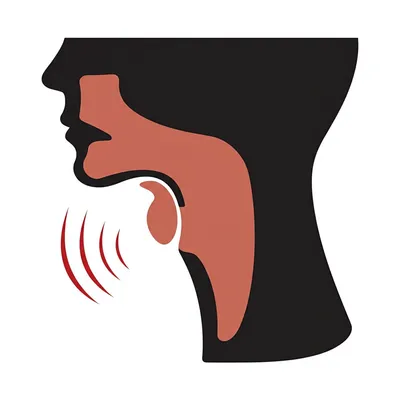 Illustration laryngeal - Image 1