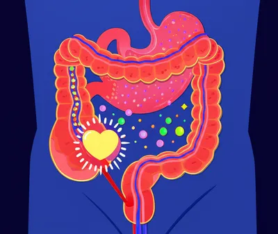 Illustration assimilates - Image 1