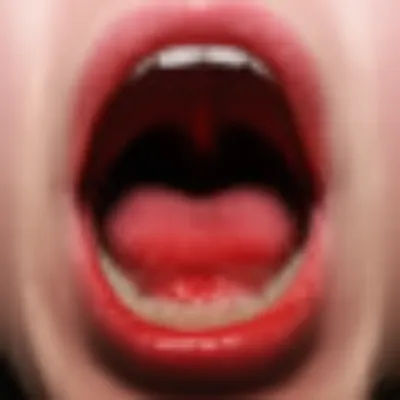 Illustration gules - Image 1