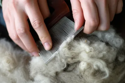 Illustration carded - Image 1