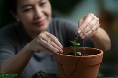 Illustration uncomplaining