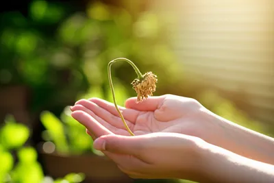 Illustration relieving - Image 1