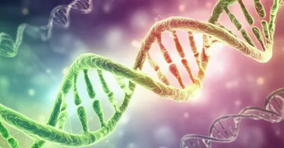 Illustration pyramids - Image 1