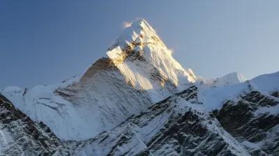 Illustration crowns - Image 1