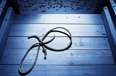 Illustration executed