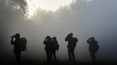 Illustration scouts - Image 1