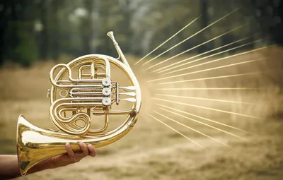 Illustration bugle - Image 1