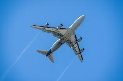 Illustration wings - Image 1