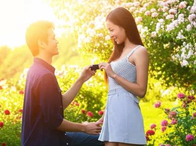 Hình ảnh minh họa court - Ảnh 1