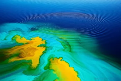 Illustration influents - Image 1