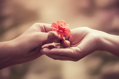 Illustration pleasuring - Image 1