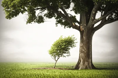 Illustration backing - Image 1