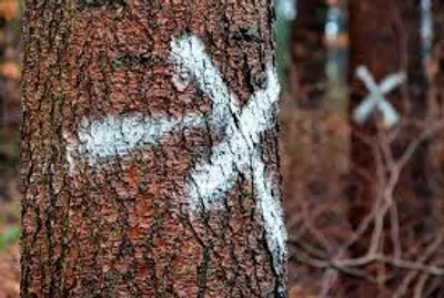 Illustration marked - Image 3