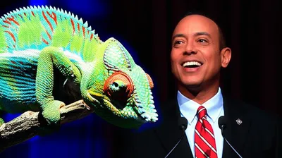 Illustration emulated - Image 1