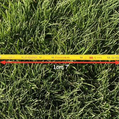 Illustration pole - Image 1