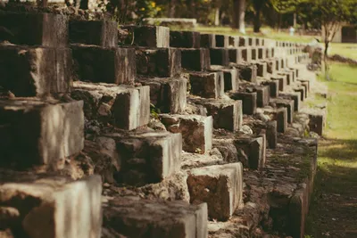 Illustration vestiges - Image 2