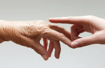 Illustration contacted - Image 1