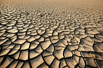 Illustration fissure - Image 1