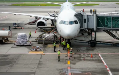 Illustration turnarounds - Image 1