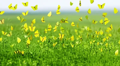 Illustration emigrant - Image 1