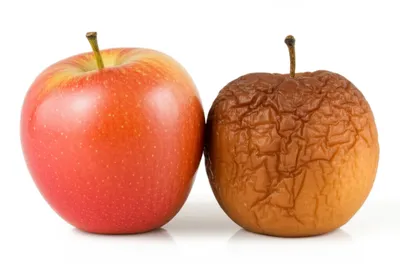 Illustration wrinkling - Image 1