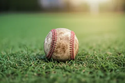 Illustration bb - Image 1