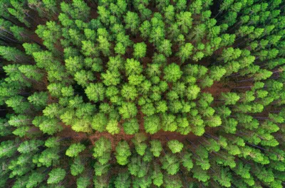 Illustration stands - Image 1