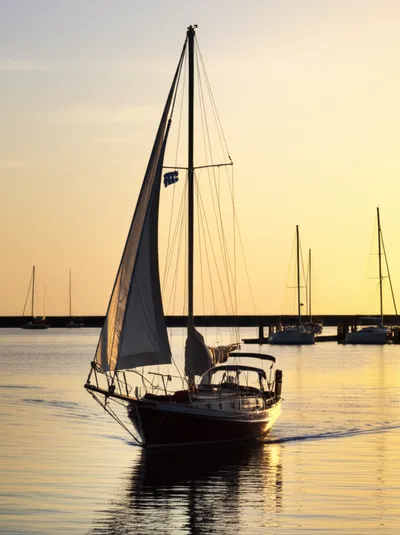 Illustration arrival - Image 1