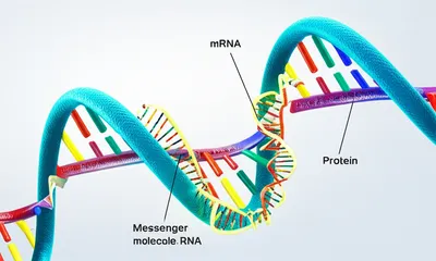 Illustration encodes - Image 1