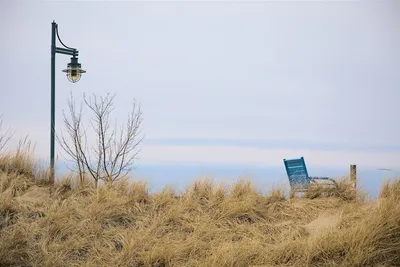 Illustration grasses - Image 2