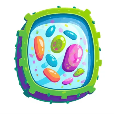 Illustration lumina - Image 1